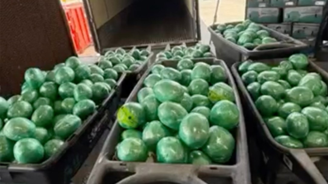 shipment-of-cabbage
