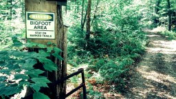 Two Up-Close Bigfoot Encounters Reported Over The Span Of Two Days In Pennsylvania