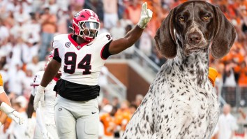 Returning Georgia Football Starter ‘Retires’ A Week Before Kickoff To Get A Puppy