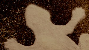 Lizard-silhouette-on-brown-sand-surface
