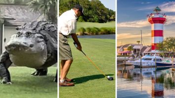 Man Spots Ginormous Gator On Hilton Head Golf Course In South Carolina: ‘This Is Literally A Dinosaur’