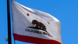 California Sends Angry Letter Over Viral Robot Vs Human Fight In San Francisco