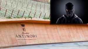 masked thief next to Antinori winery sign in Tuscany, Italy