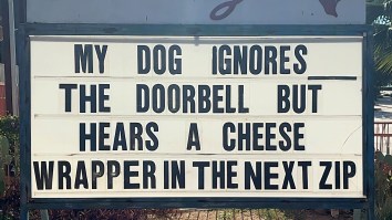 The 51 Best Memes To Start Your Week Off Right