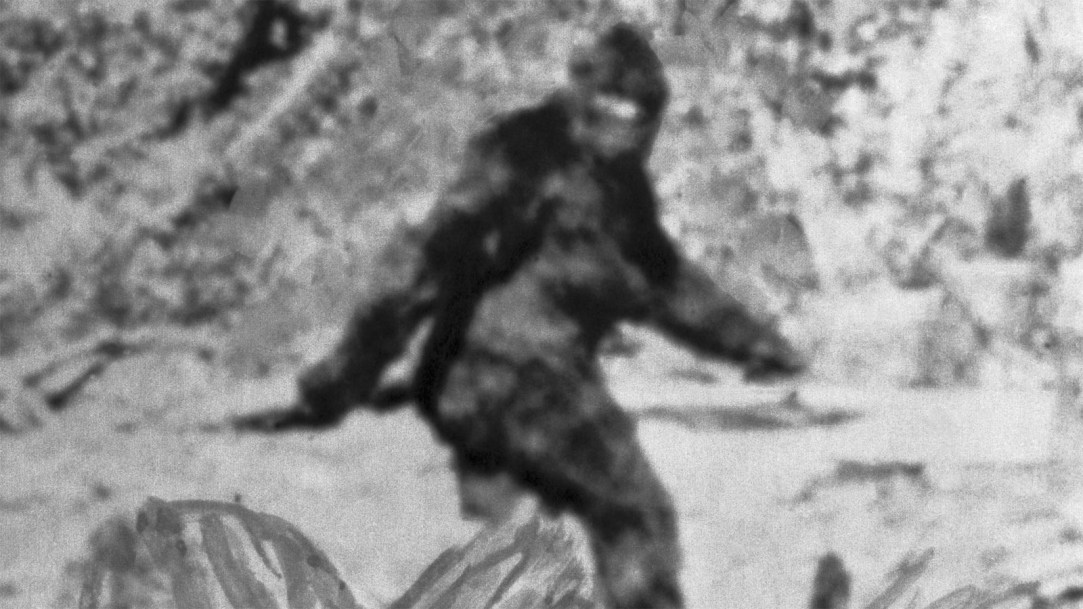 bigfoot-Roger-Patterson-photo