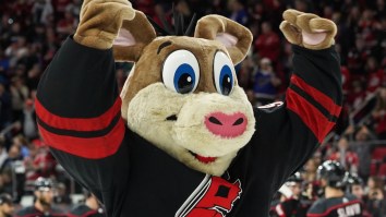 Hurricanes Mascot Goes Viral For Sharing Surprisingly Nuanced Take On Vancouver Housing Crisis During Game Against Canucks