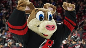 Carolina Hurricanes mascot Stormy