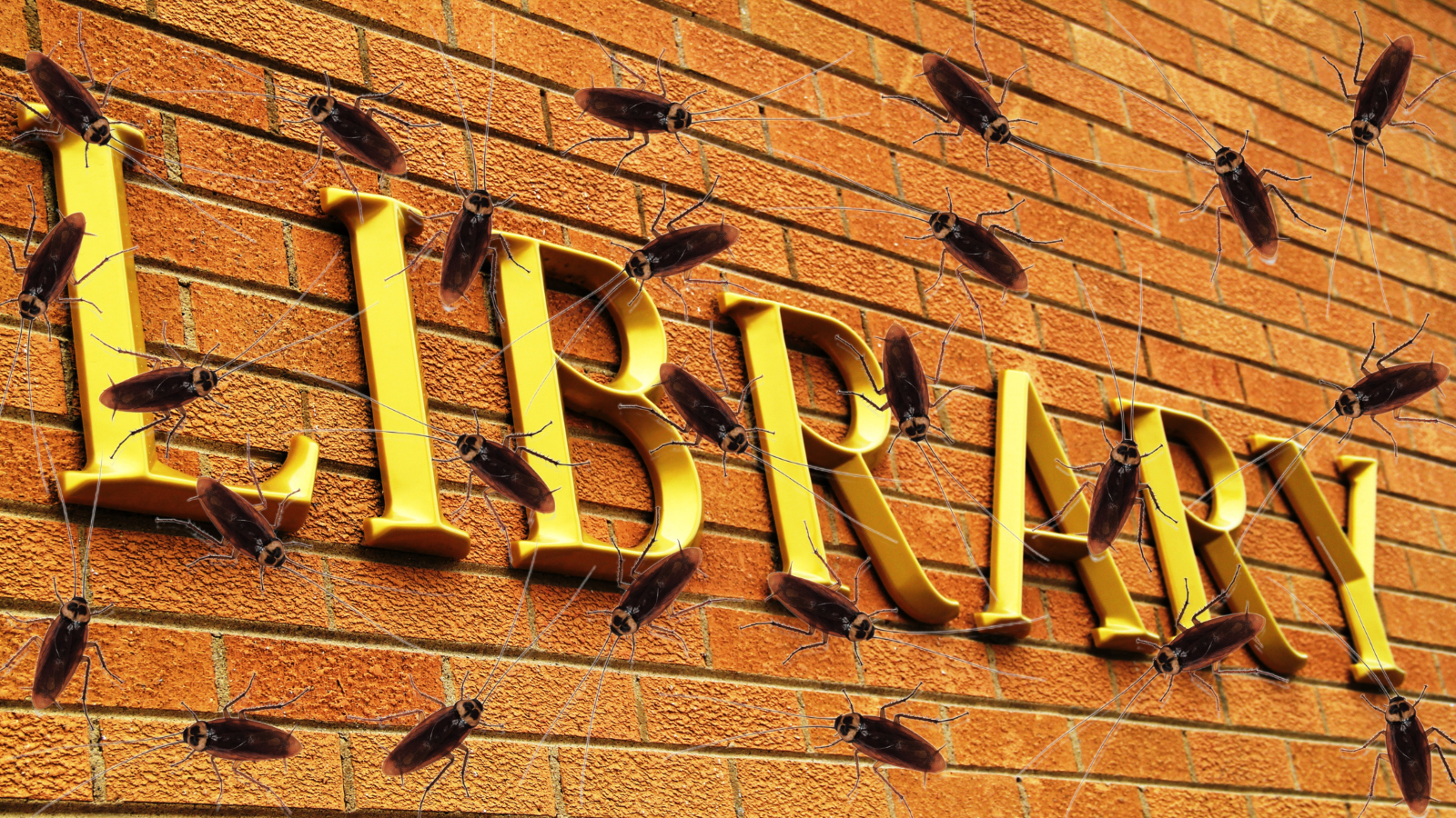 cockroaches over library sign in Toledo, Ohio
