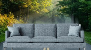 couch-traffic-stop