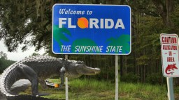 Florida MMA Fighter Rescued An Alligator With His Bare Hands From An Elementary School