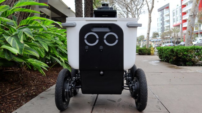 Food delivery robot