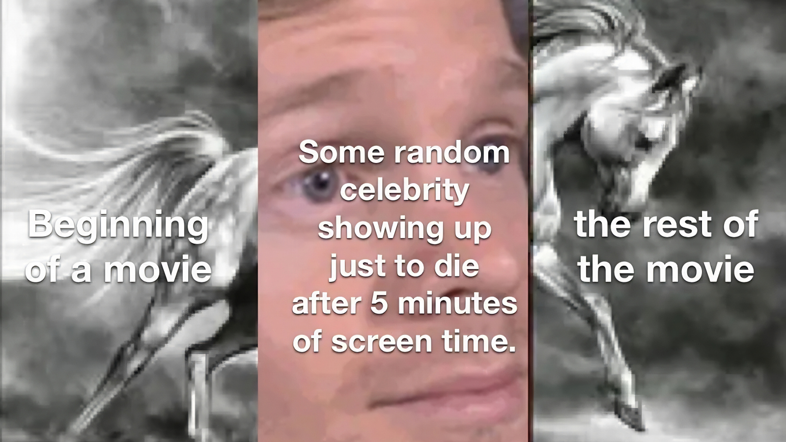 funniest meme about random celebrity cameos