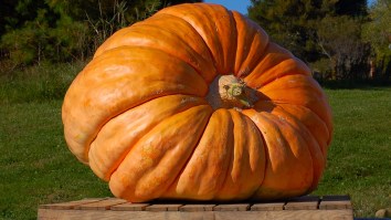 Rhode Island Man Shatters Record For World’s Heaviest Pumpkin After Growing First One To Weigh Over 3,000 Pounds
