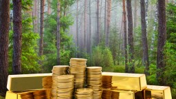Norwegians Are Falling Victim To Scammer Who Convince Them To Leave ‘Large Sums’ Of Gold In A Forest For Safekeeping Before Stealing It