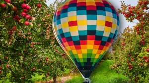 Hot air balloon in apple orchard