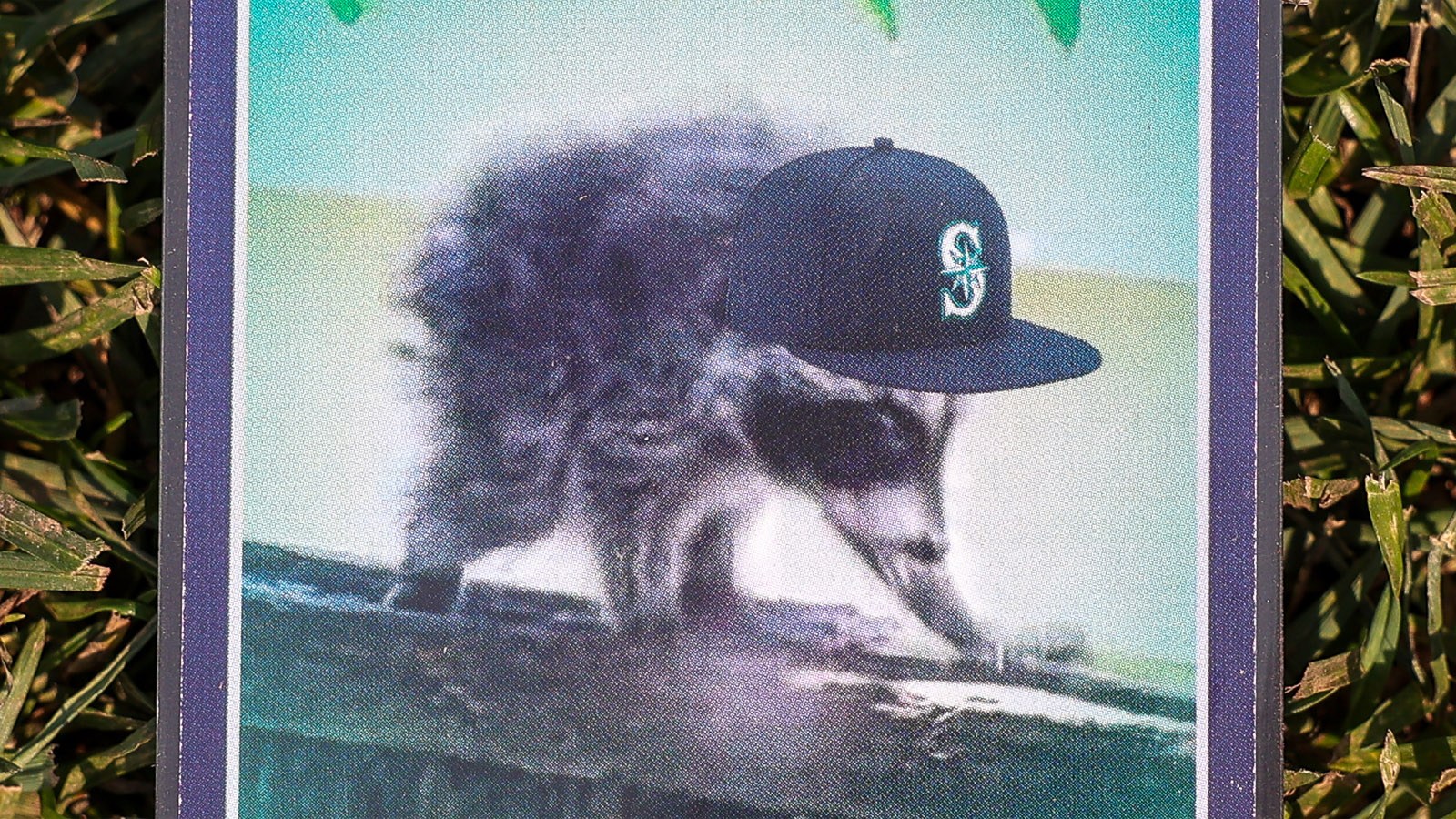 Seattle's Viral Raccoon 'Jimothy' Inspires Giant Halloween Display