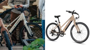 Lectric Xpress Lite