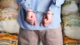 Florida Hotel Employee Charged With Stealing Nearly 200 Lobster Tails From Kitchen At 4-Star Resort