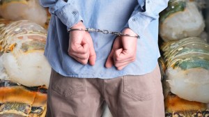 Man in handcuffs over lobster tails