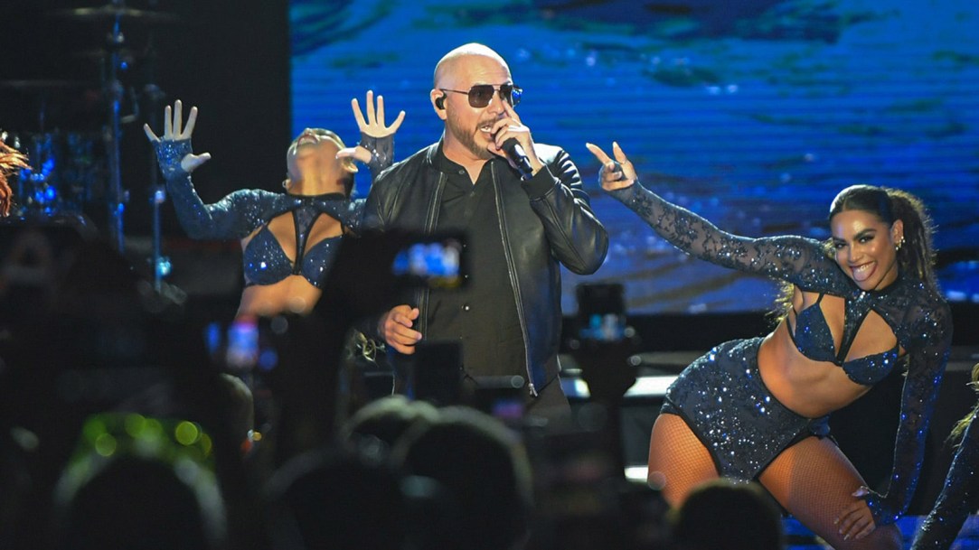 pitbull concert