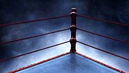 Pro Wrestler Arrested On Manslaughter Charge After Referee Dies Following Piledriver In Ring