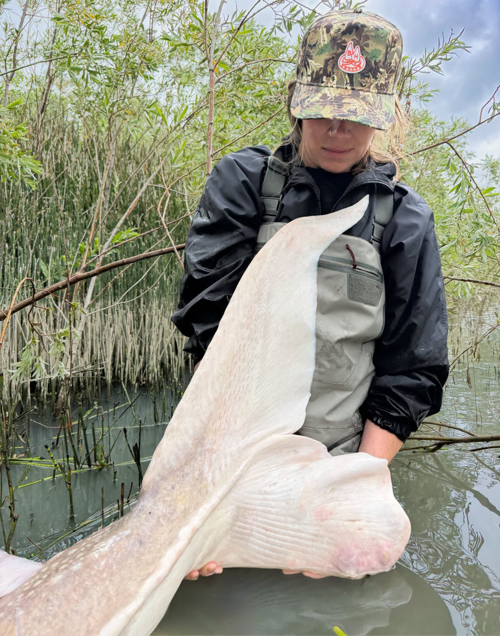 record-setting sturgeon caught by Sturgeon Slayers on Fraser River likely largest freshwater fish caught by a female angler ever