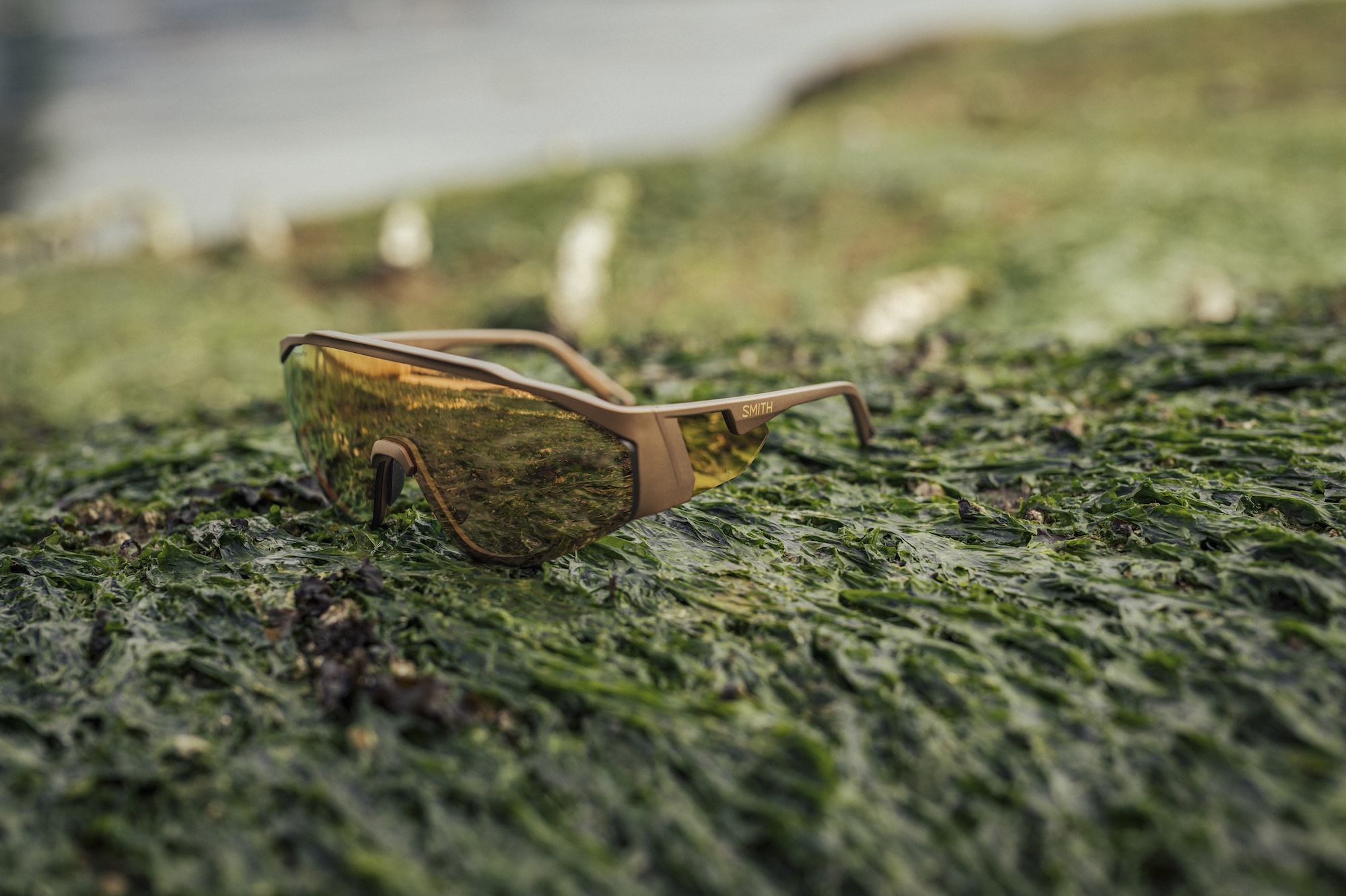 Smith POV sunglasses